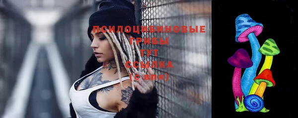 эйфоретик Алзамай