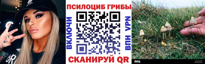 Псилоцибиновые грибы GOLDEN TEACHER  мориарти наркотические препараты  Тюмень  закладка  hydra ССЫЛКА 